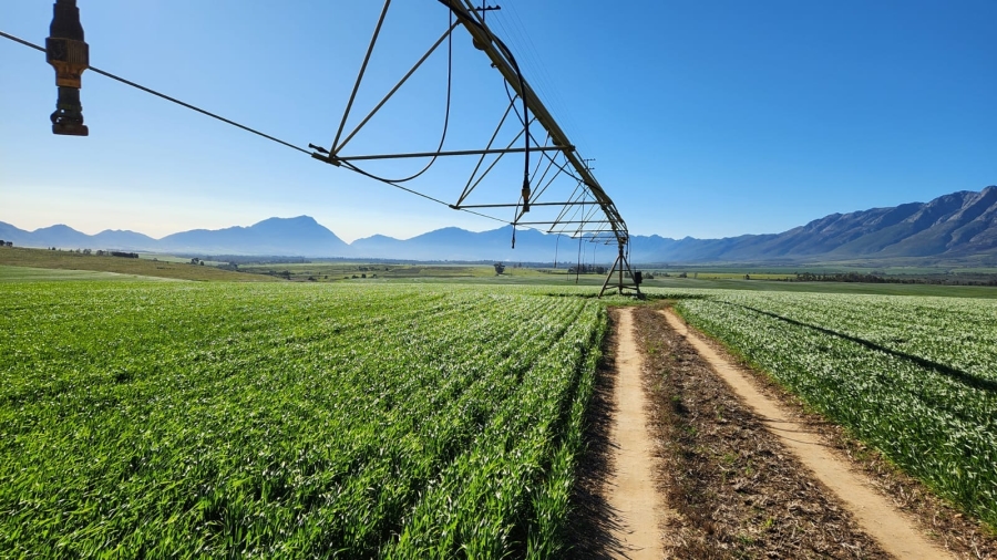 Commercial Property for Sale in Wolseley Western Cape